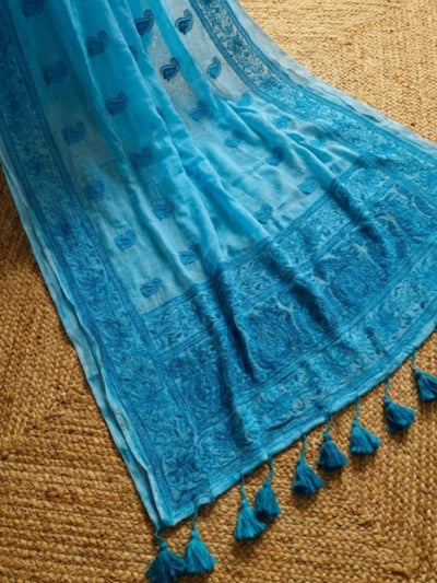 Hawa Hawai Chikankari Pure Mul Cotton Saree Sky Blue