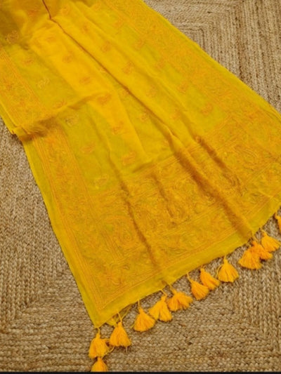 Hawa Hawai Chikankari Pure Mul Cotton Saree Sunny Yellow
