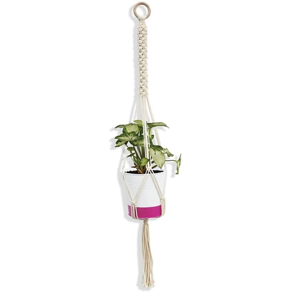 hay plant hanger Scooby Plant Hanger Size: 40" Long Material : Cottan Colour : Natural White-Indiehaat – Indiehaat.com