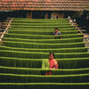Local Handloom Initiatives Strengthening Rural Artisans