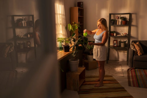 The Intersection of Sustainability and Style in Home Dcor