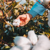 Health and Environmental Benefits of Cotton