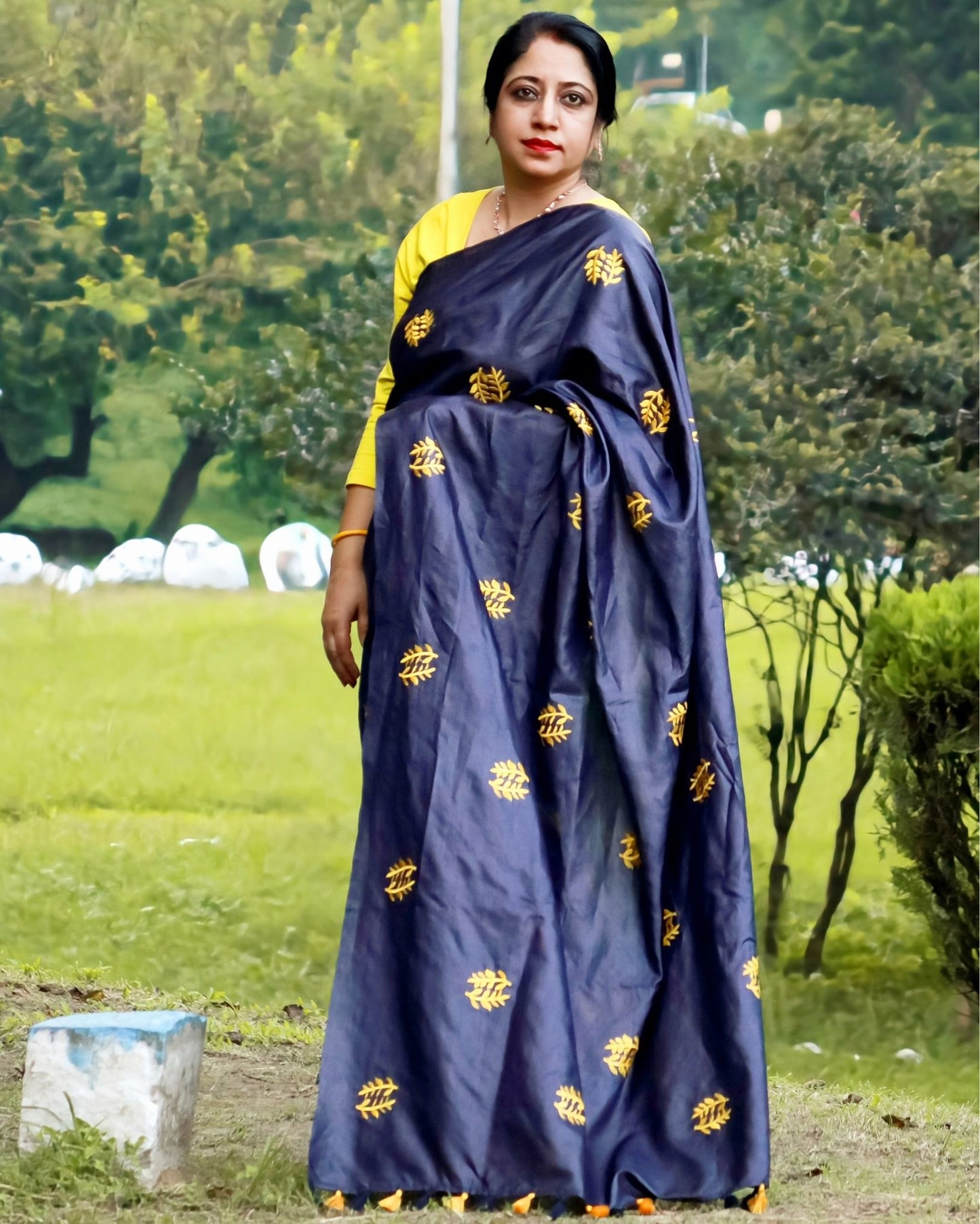 Silkmark Certified Pure Tussar Vivid Embroidered Black Saree