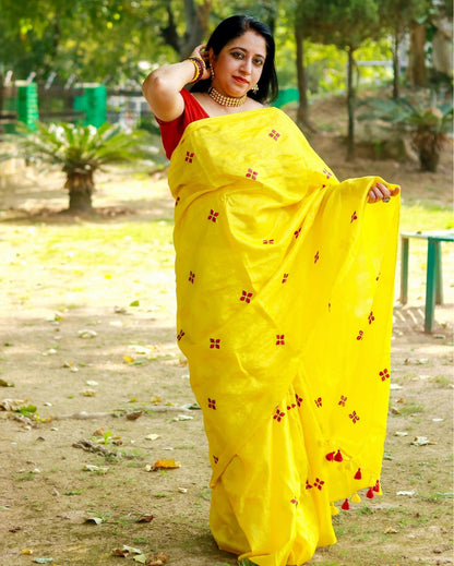 9646-Silkmark Certified Pure Tussar Silk Embroidered Yellow Saree with Embroidery Color Blouse (Tussar by Tussar)