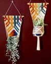 Macrame Rainbow Plant Holder 12Ãƒâ€”30 In (Set of 2)