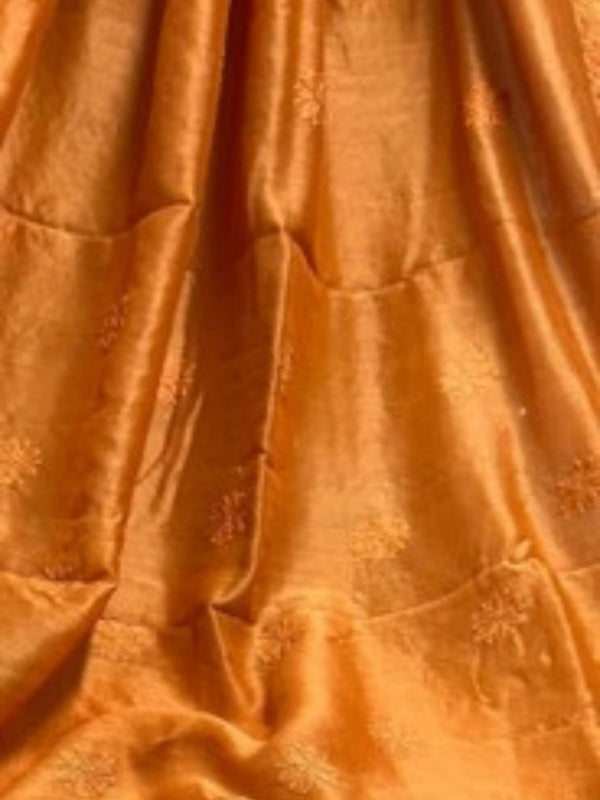Indiehaat | Chikankari Pure Chanderi Silk Saree Orange