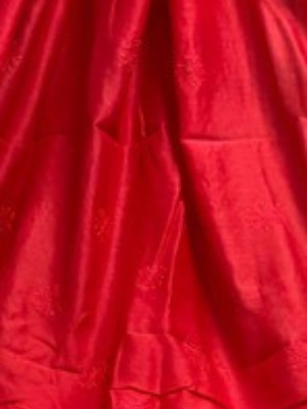 Indiehaat | Chikankari Pure Chanderi Silk Saree Red