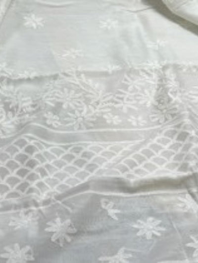 Indiehaat | Chikankari Pure Chanderi Silk Saree White
