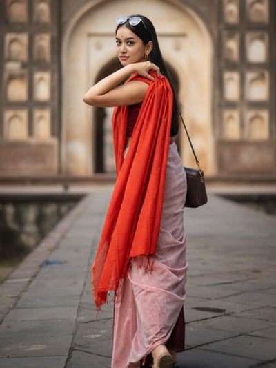 Indiehaat | Pure Khadi Cotton Handloom Saree Multicolor