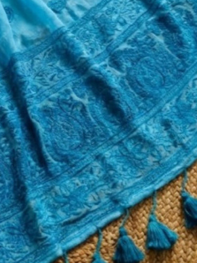 Indiehaat | Pure Mul Cotton Chikankari Saree Blue