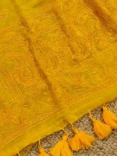 Indiehaat | Pure Mul Cotton Chikankari Saree Yellow