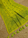 Indiehaat | Pure Mul Cotton Chikankari Saree Green