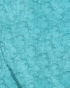Indiehaat | Kashmiri Silk Printed Saree Light Blue & Teal