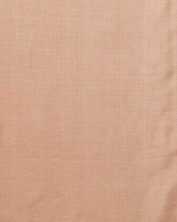 Indiehaat | Kashmiri Silk Printed Saree Light Brown & Beige