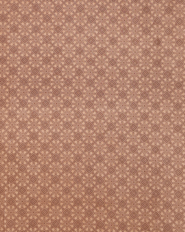 Indiehaat | Kashmiri Silk Printed Saree Tan & Brown