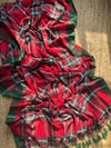 Indiehaat | Mul Cotton 120 Count Handloom Saree Red