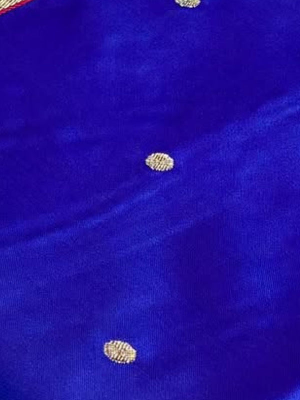 Indiehaat | Blue Mina Mashru Katan Silk Saree | Meenakari