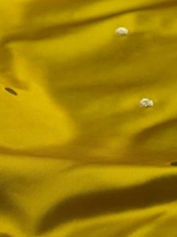 Indiehaat | Yellow Mina Mashru Katan Silk Saree | Meenakari