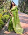 Indiehaat | Organza Floral Dual Zari Woven Green Saree