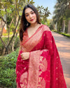 Indiehaat | Organza Floral Rainbow Zari Woven Pink Saree