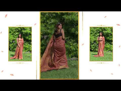 2701-Handloom Jayashree Silk Saree Light Brown Color with Running Blouse