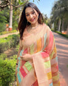 Indiehaat | Organza Multicolor Zari Woven Peach Saree