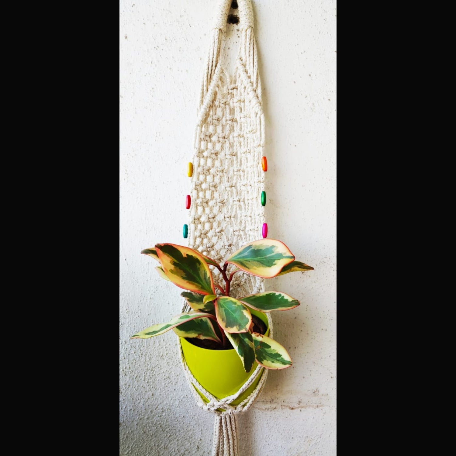 White Macrame Wall Hanging Pot Holder With Cotton Thread And Wooden Beads-Indiehaat