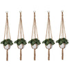Jute Plant Hanger (Set of 5)Size : 40" Long-Indiehaat