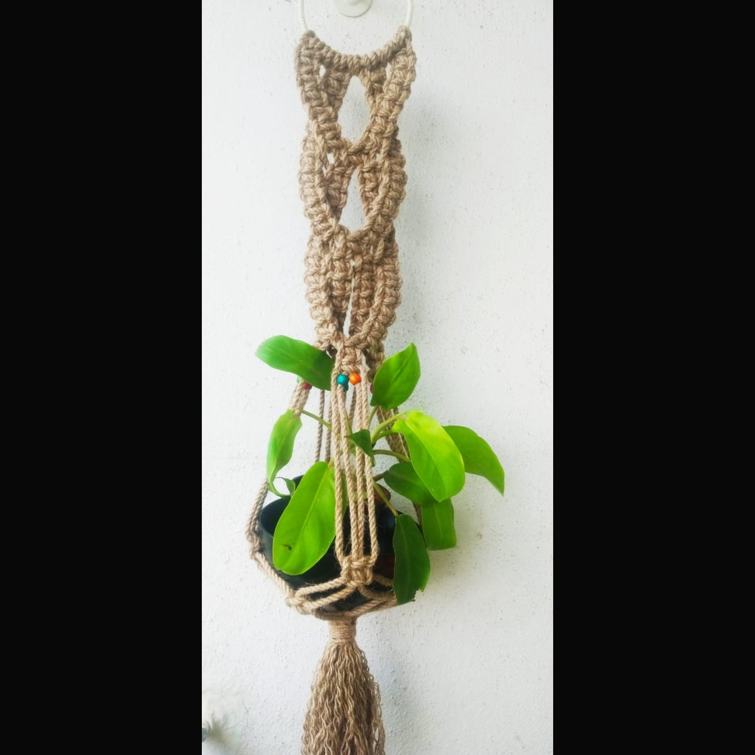 Macrame Wall Hanging Pot Holder With Cotton Thread-Indiehaat