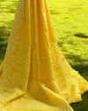 Kota Doria Saree Lemon Yellow Color Chikankari work without blouse - IndieHaat