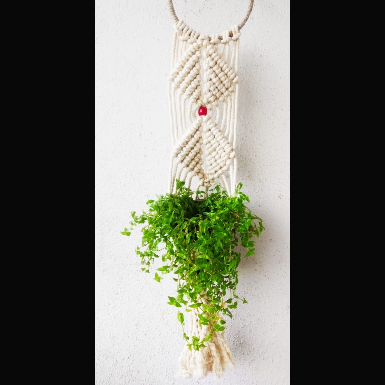 Macrame Wall Hanging White Pot Holder With Cotton Thread-Indiehaat