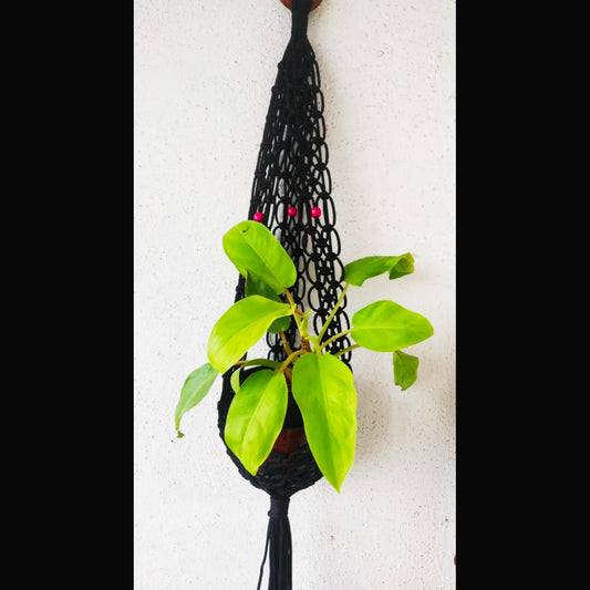 Black Macrame Wall Hanging Pot Holder With Nylon Thread-Indiehaat