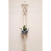 Macrame Plant Off White Hanger (Set Of 2)Size: 36" Long-Indiehaat