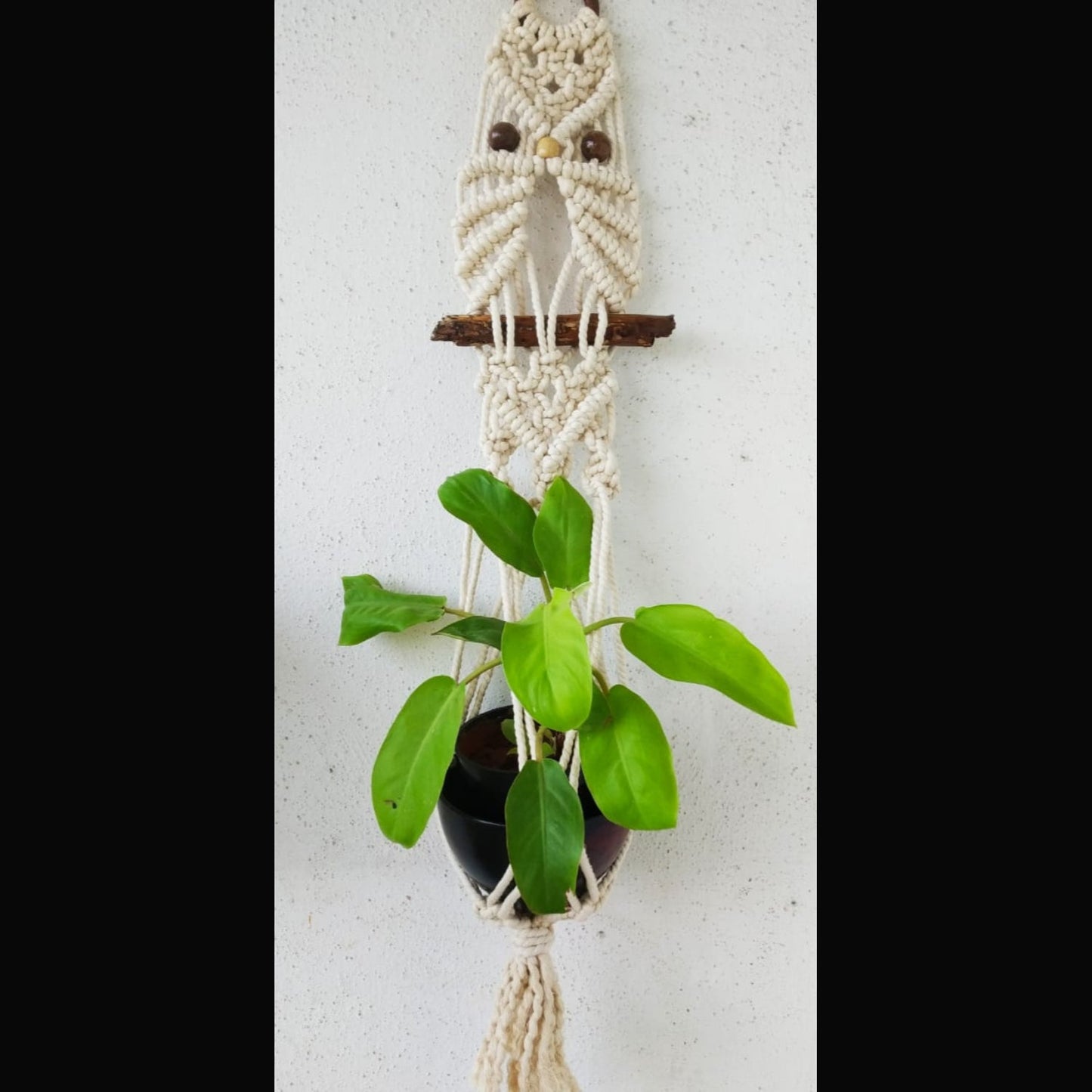 White Macrame Wall Hanging Owl Themed Pot Holder With Cotton Thread-Indiehaat