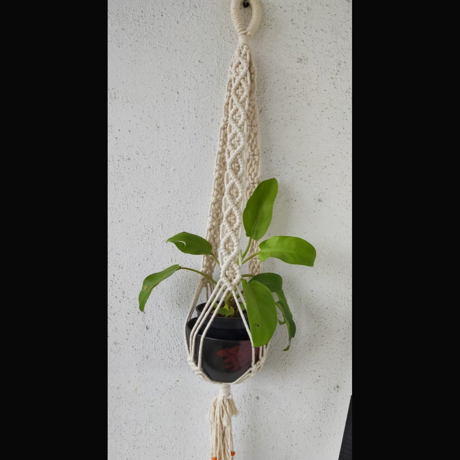 White Macrame Wall Hanging Pot Holder With Cotton-Indiehaat