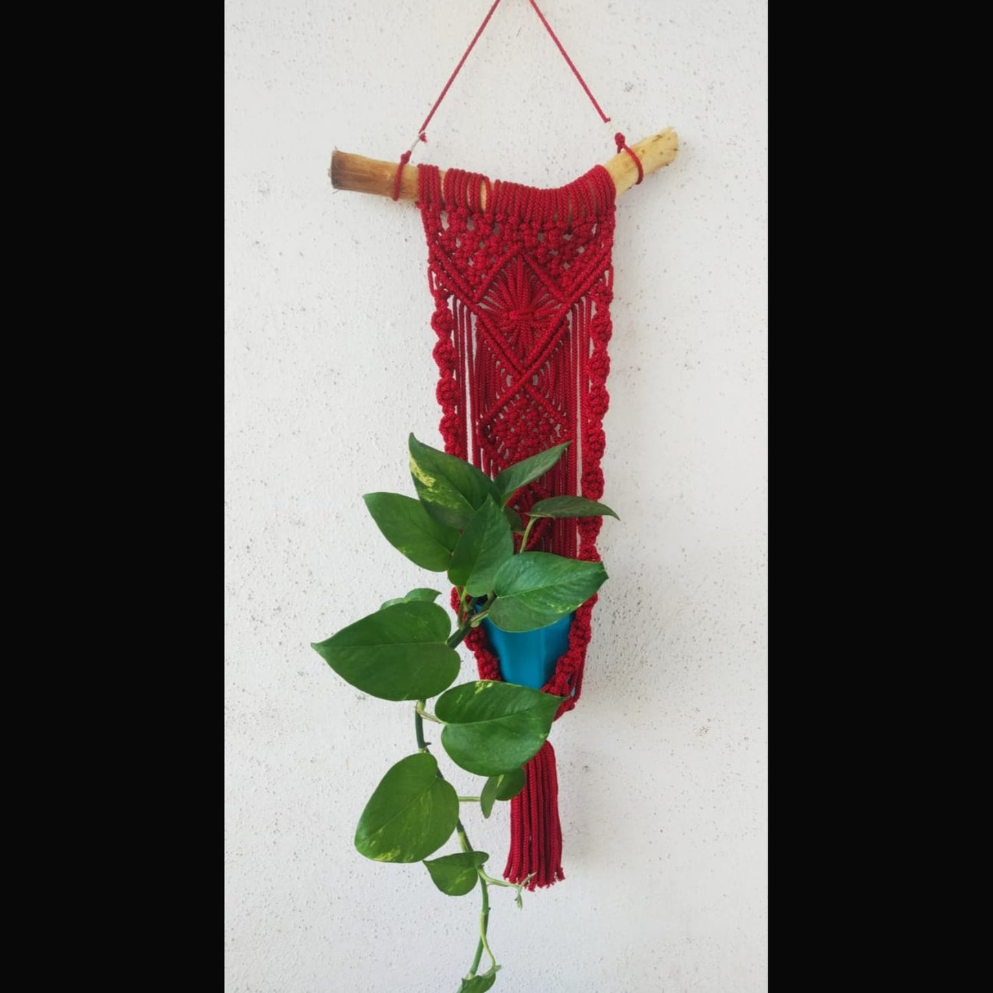 Red Macrame Wall Hanging Maroon Pot Holder With Poly Cotton Thread-Indiehaat