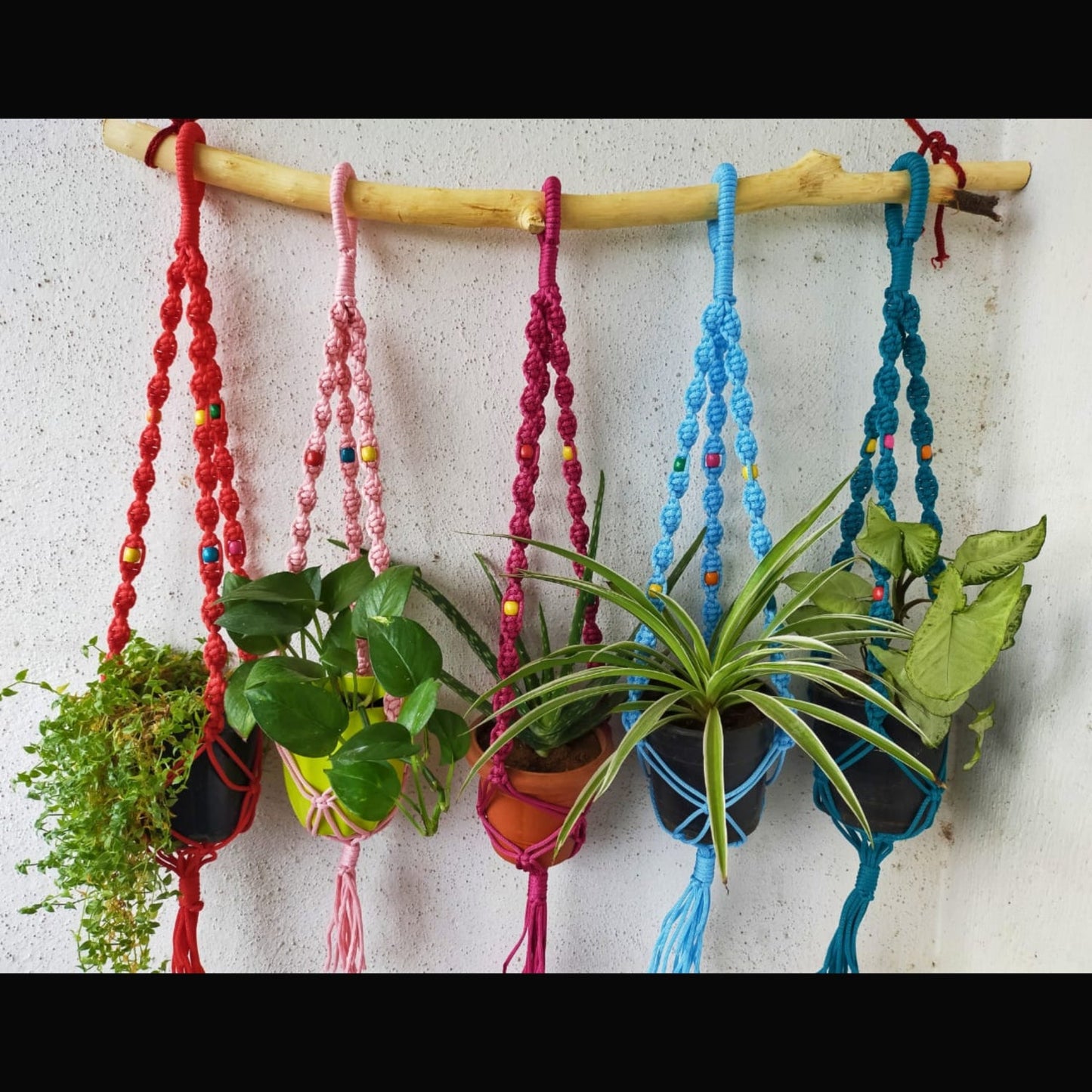 Macrame Wall Hanging Multicolour Color Plant Holder (Set Of 5)-Indiehaat