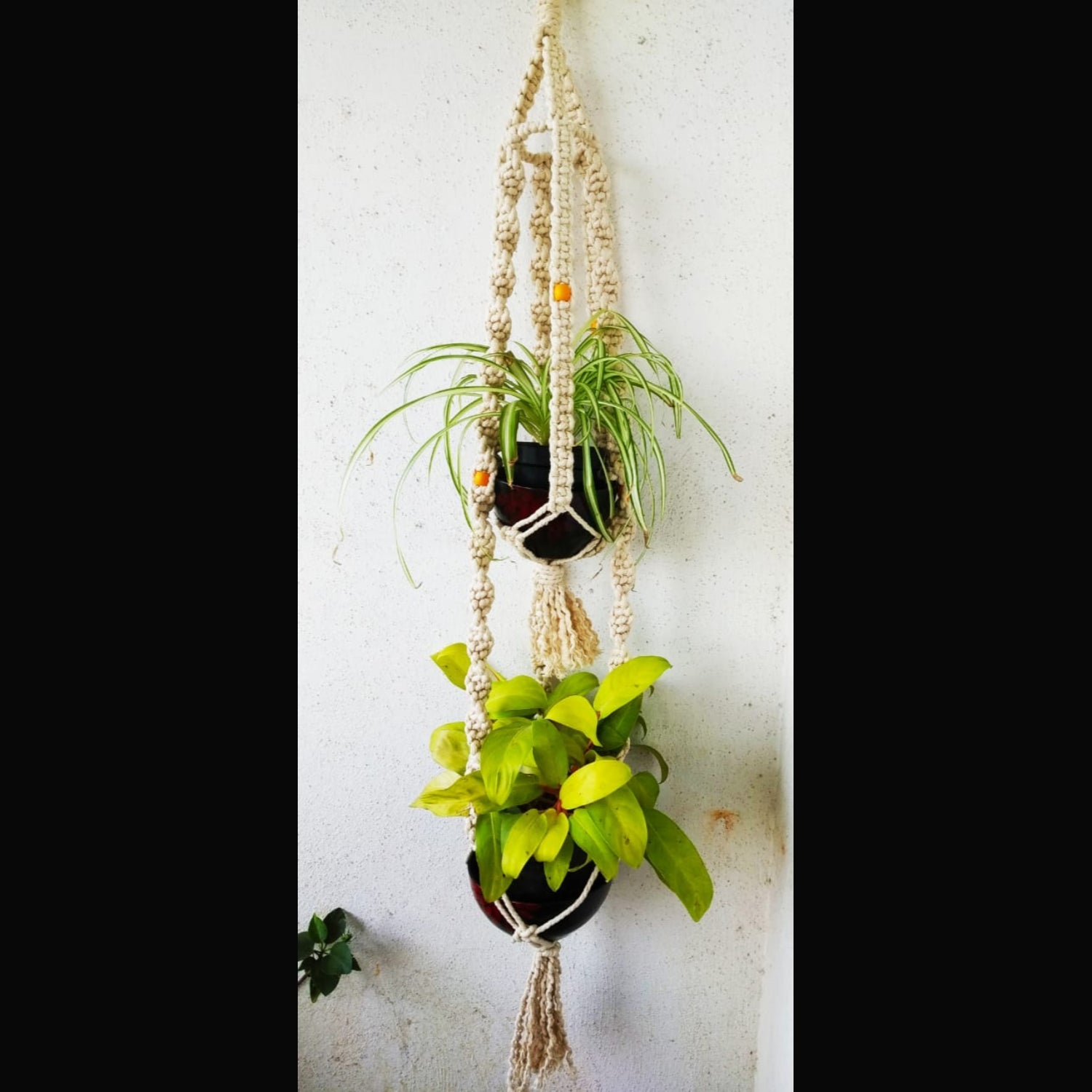 Macrame Wall Hanging Twin White Pot Holder With Cotton Thread-Indiehaat