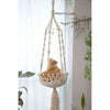 Macrame Cat Swing Cum Dog SwingSize: 36" Long-Indiehaat